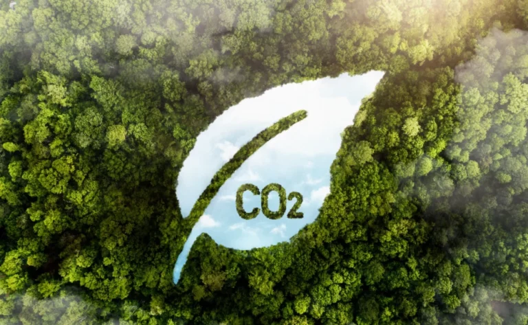 Carbon offsets and carbon credits –“why” and “how”